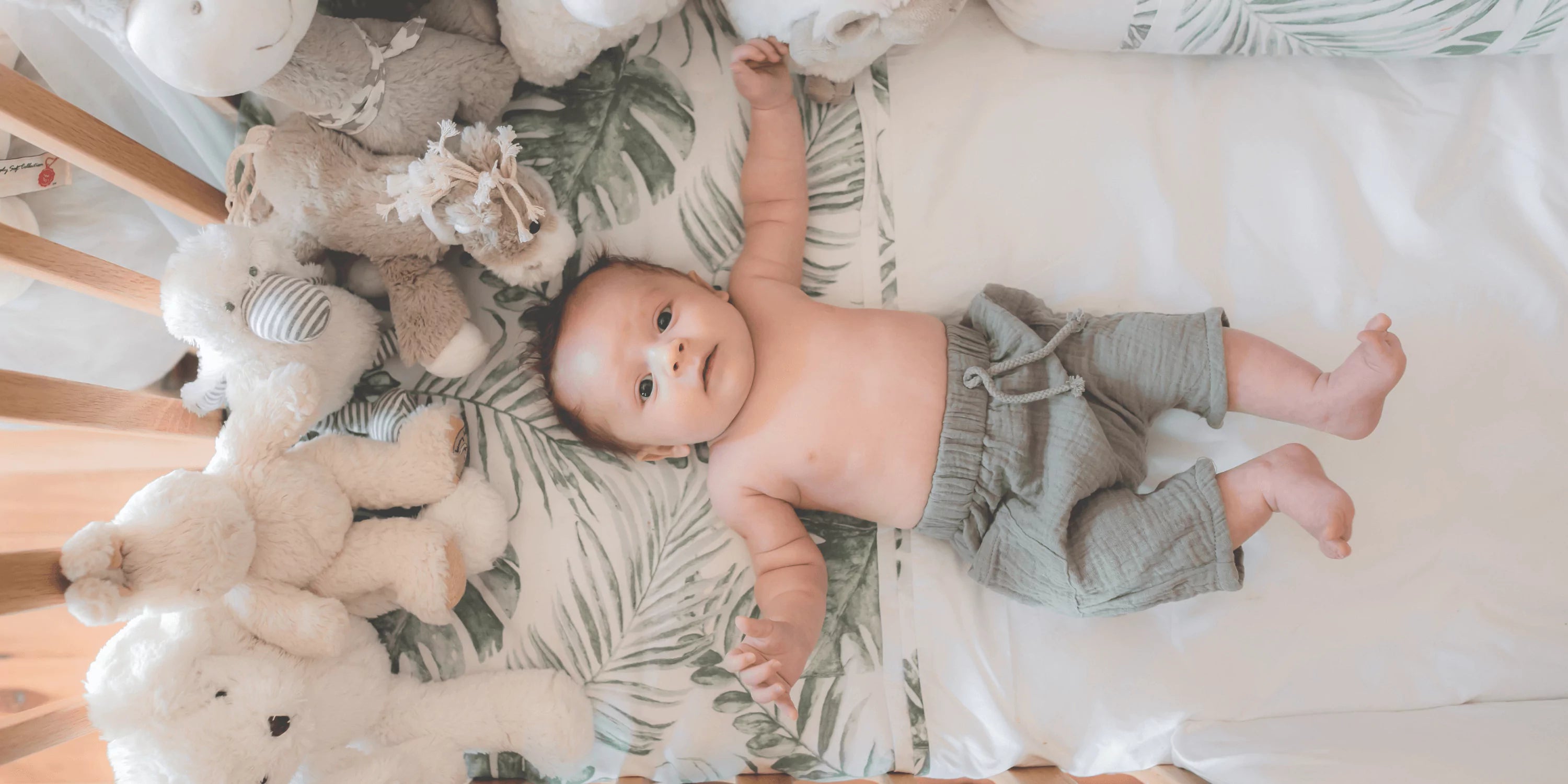 Baby sleep in crib stuffed animal plush