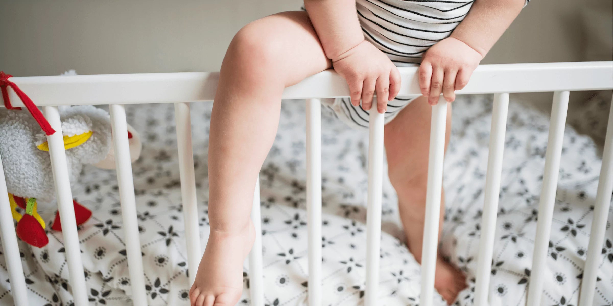 What to do When Your Toddler Climbs Out of the Crib
